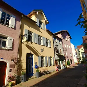 Old Kings Design Albergue